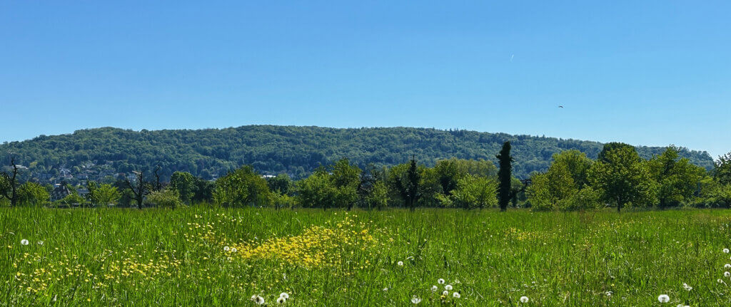 Matthias Maier | Stories | Week 18 2025 | Like a real summer day