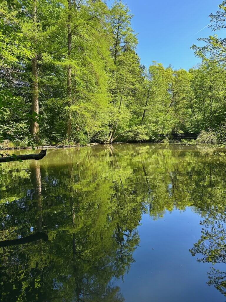 Matthias Maier | Pond