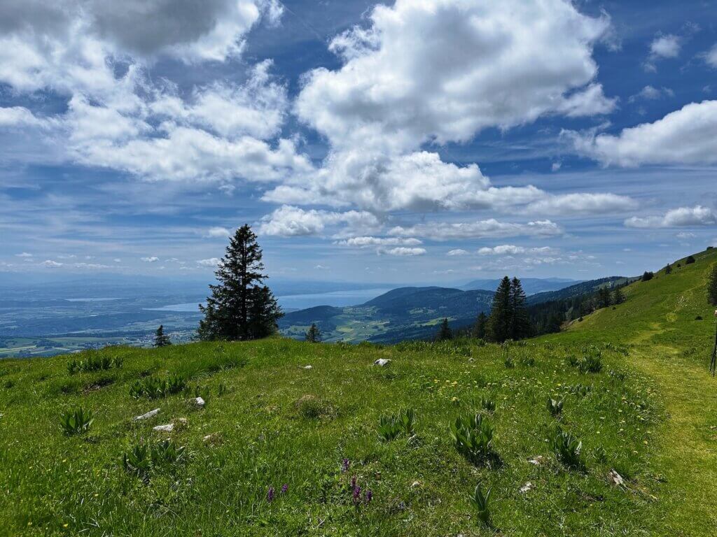 Matthias Maier | View from the top