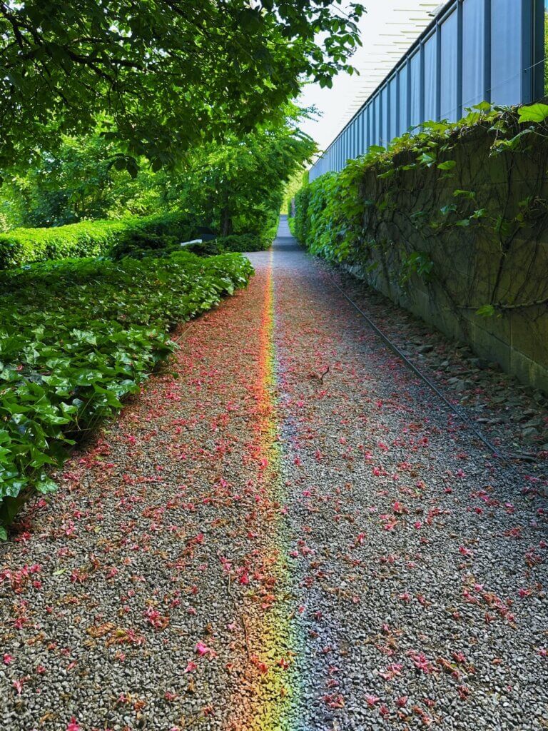 Matthias Maier | The rainbow path