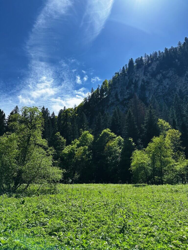 Matthias Maier | Entering the valley