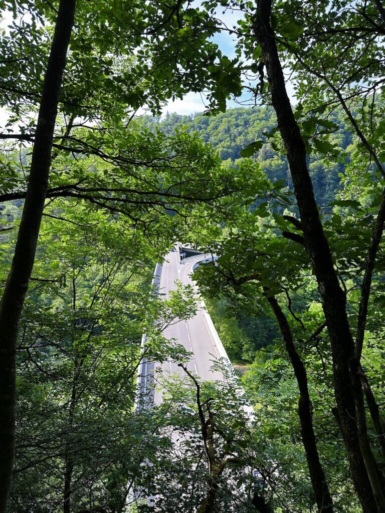 Matthias Maier | Road through the forest