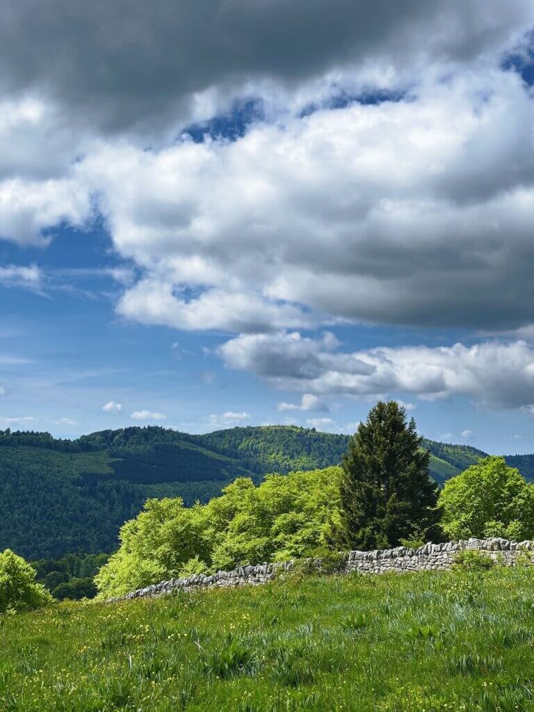 Matthias Maier | Stone wall