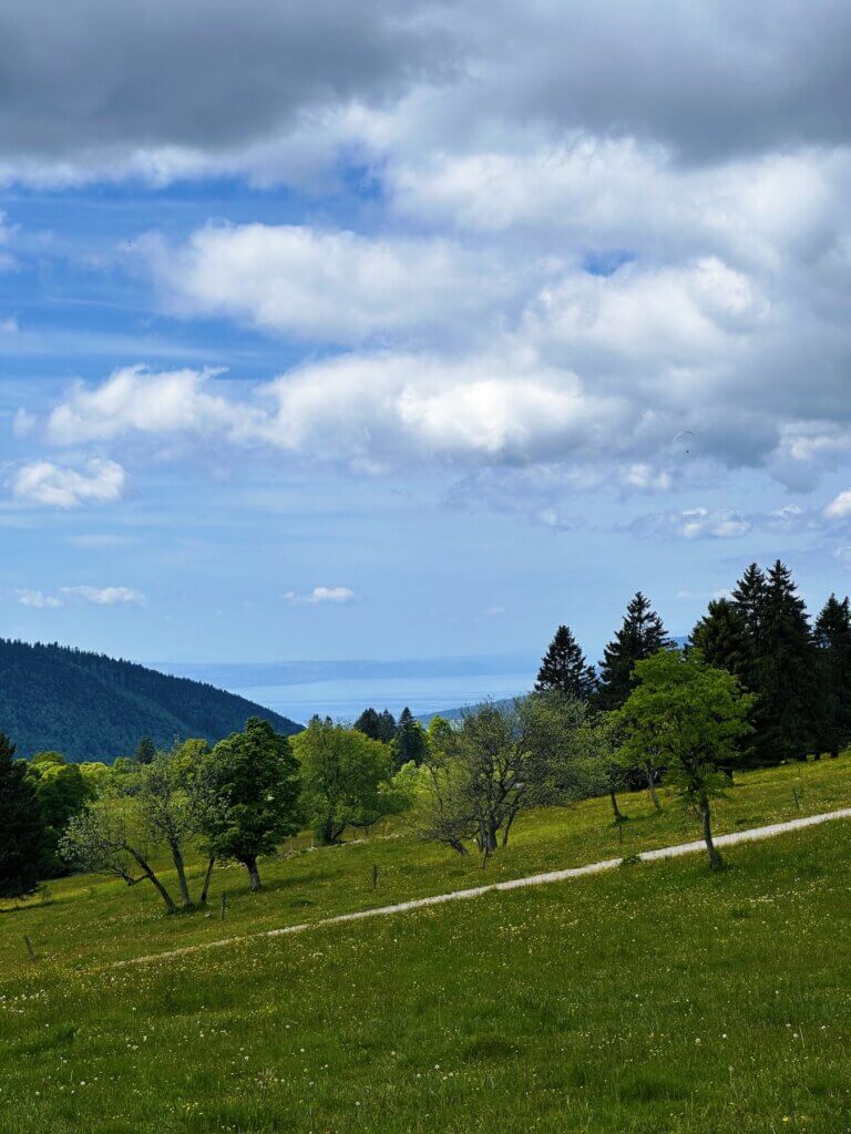 Matthias Maier | Lake Neuchâtel