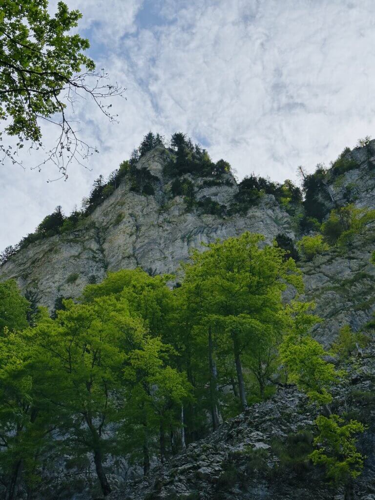 Matthias Maier | Deep inside the canyon