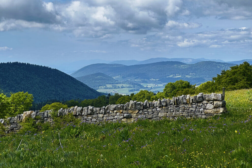 Matthias Maier | Stories | Week 21 2025 | Swiss Jura Landscape