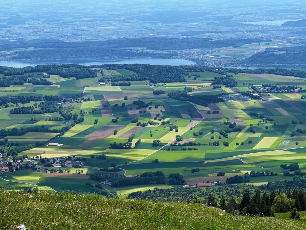 Matthias Maier | Swiss Plateau