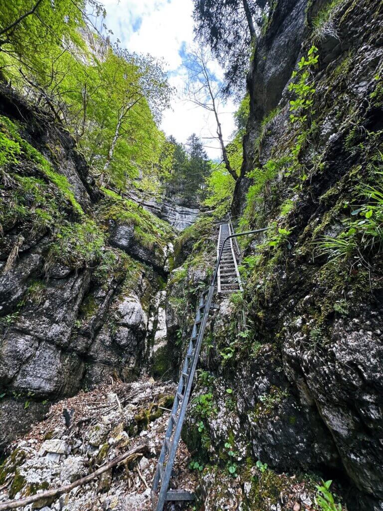 Matthias Maier | Ladders