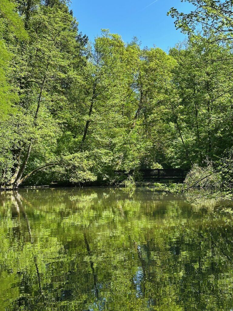 Matthias Maier | Green again all over