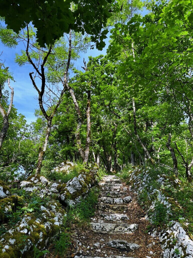 Matthias Maier | Hiking path