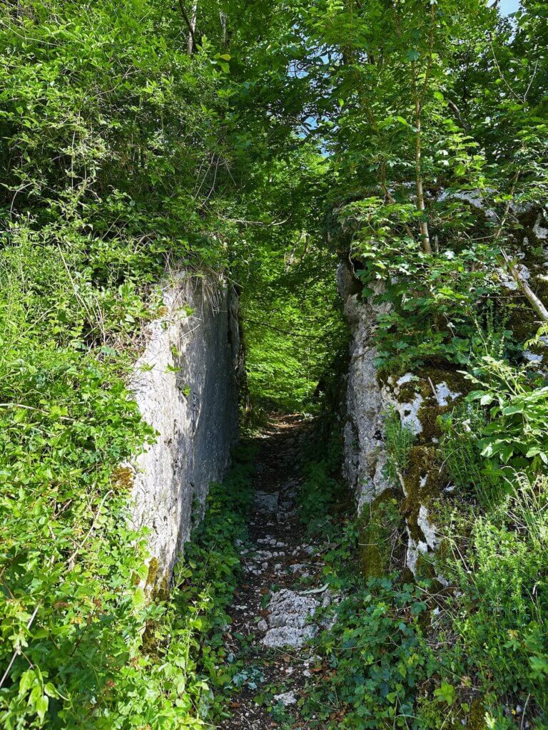 Matthias Maier | Entrance to the hike path