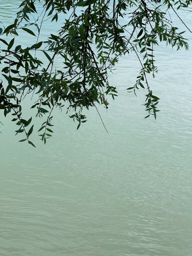 Matthias Maier | Refreshing view