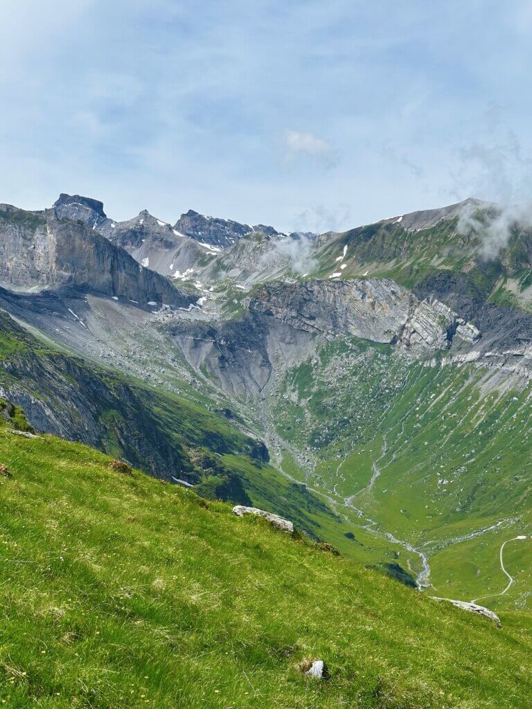 Matthias Maier | Green valley