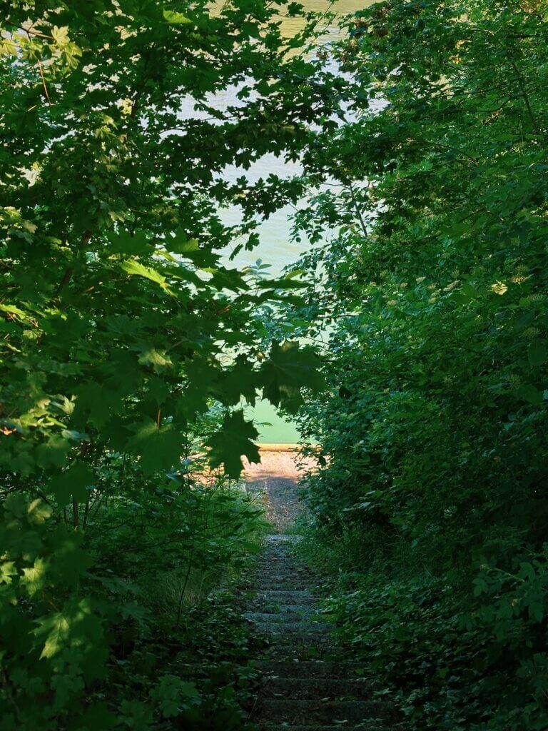 Matthias Maier | Stairway to the river bed
