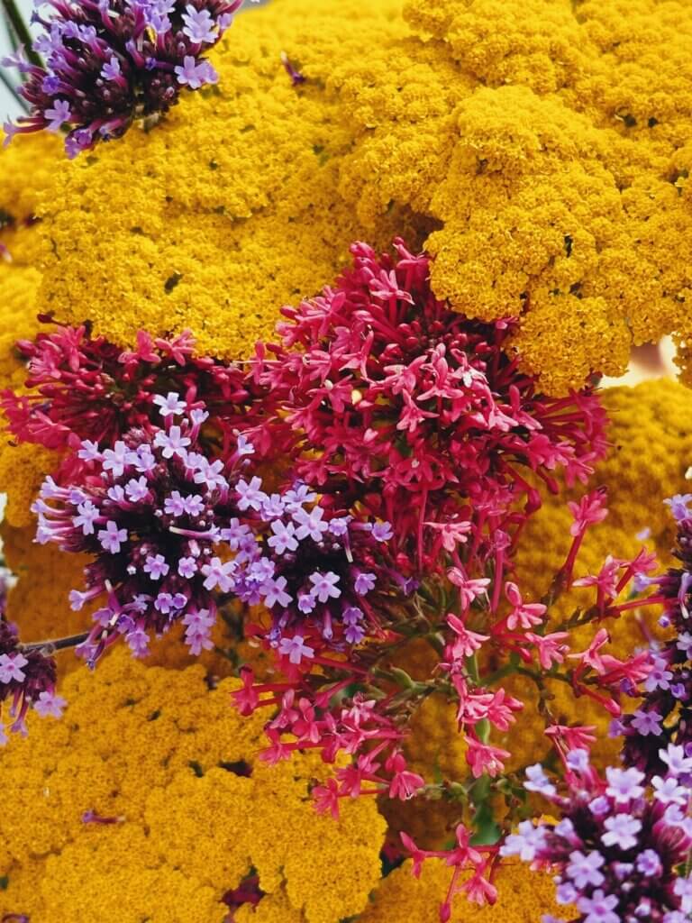 Matthias Maier | Summer flower bouquet