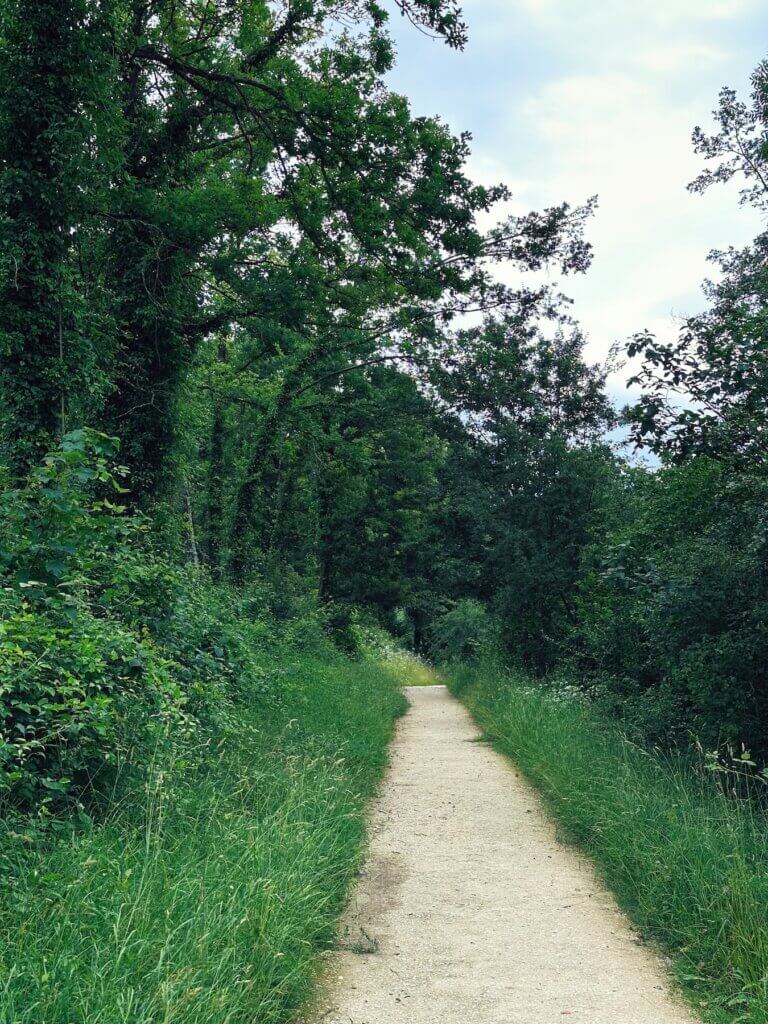 Matthias Maier | Path