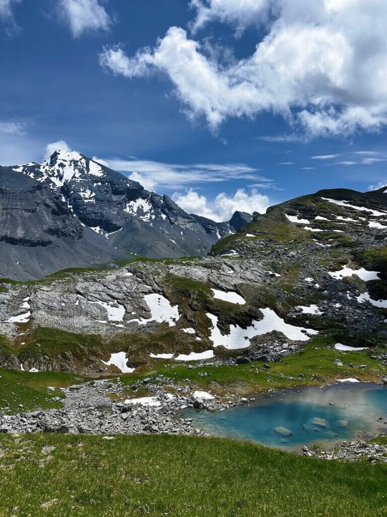 Matthias Maier | Alpine colors