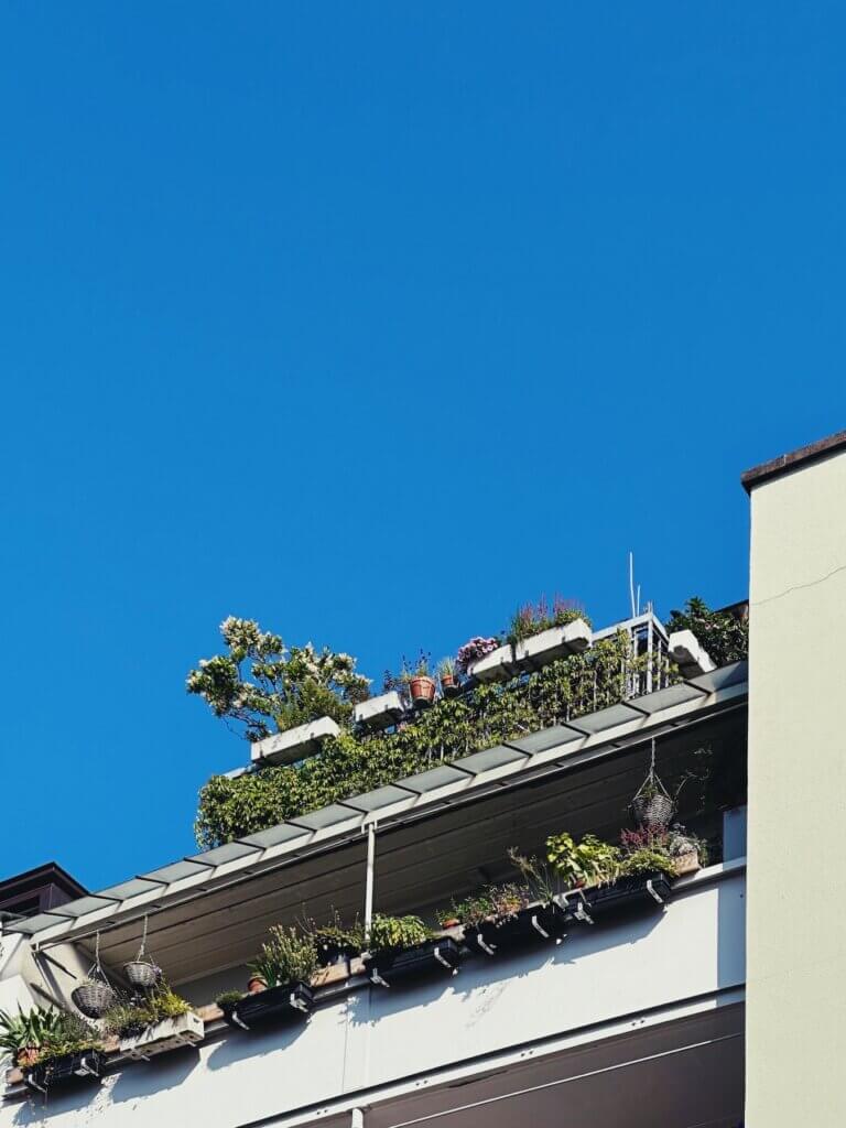 Matthias Maier | Nature @home