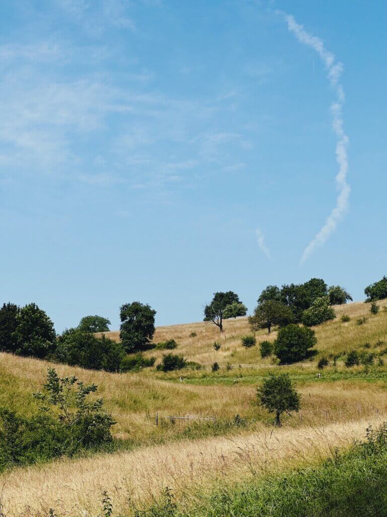 Matthias Maier | Countryside in June
