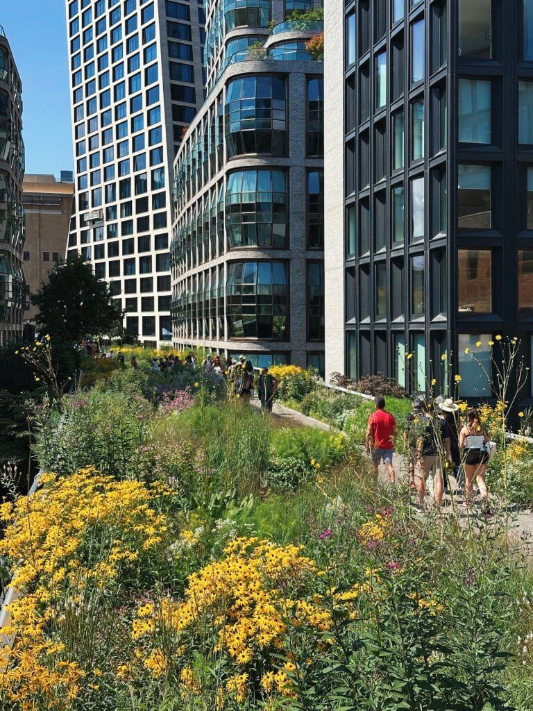Matthias Maier | Perennial garden