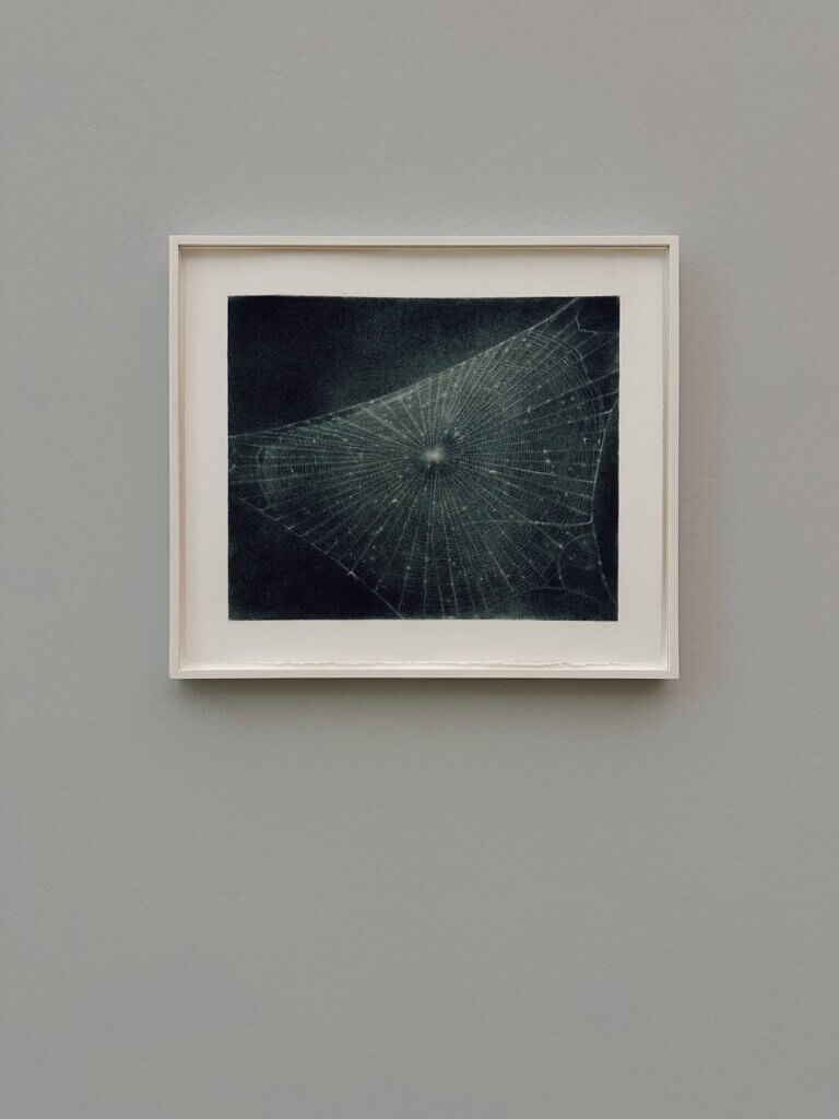 Matthias Maier | Untitled (Web #1) by Vija Celmins