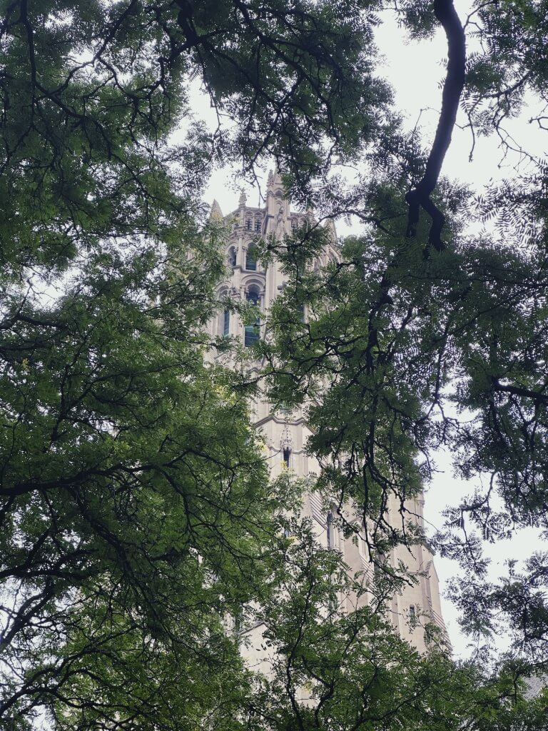 Matthias Maier | Cathedral through the trees