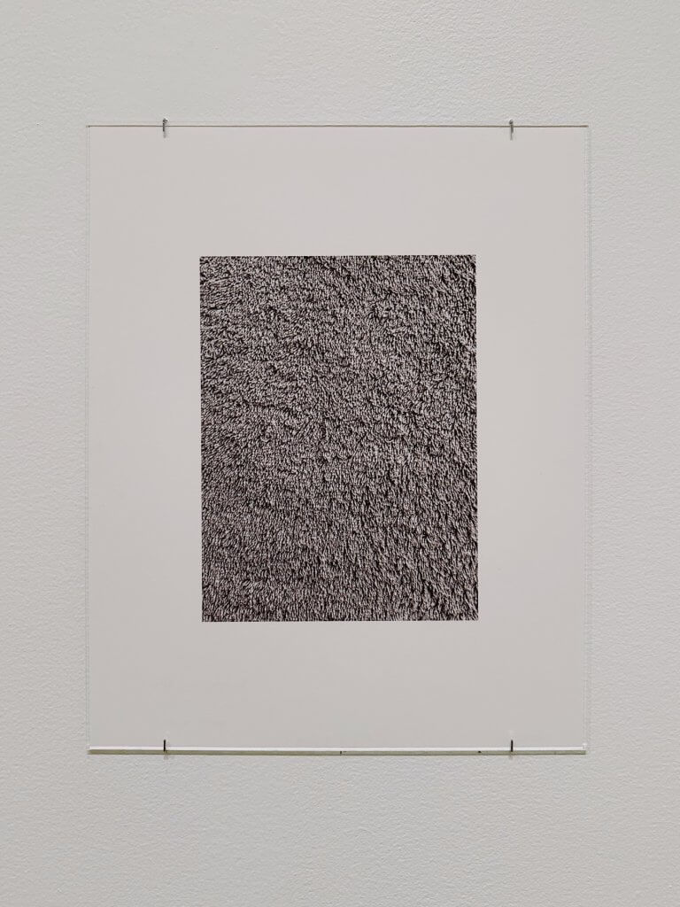 Matthias Maier | Zoe Leonard: Habitation is habit