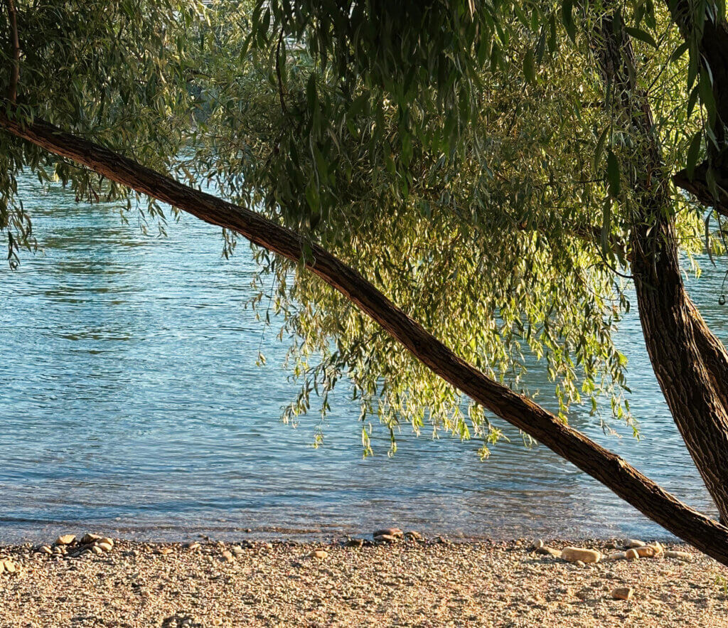 Matthias Maier | Stories | Week 27 2025 | Riverbank