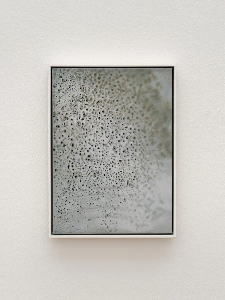 Matthias Maier | Shell by Vija Celmins