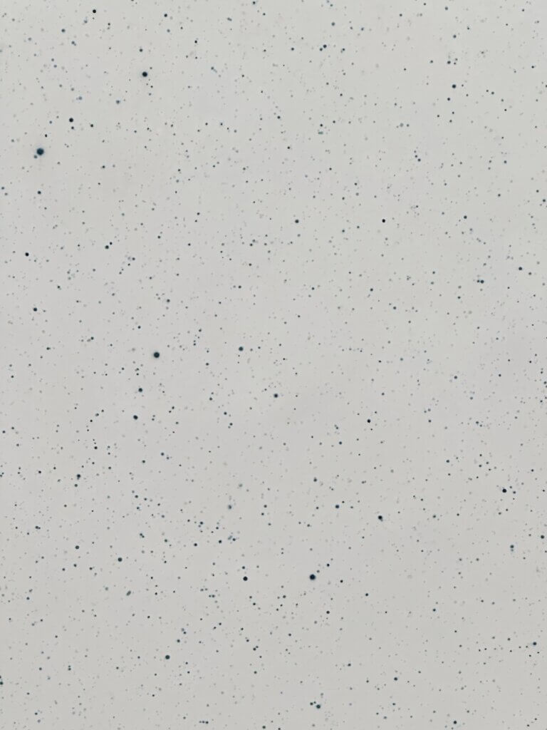 Matthias Maier | Reverse Night Sky by Vija Celmins