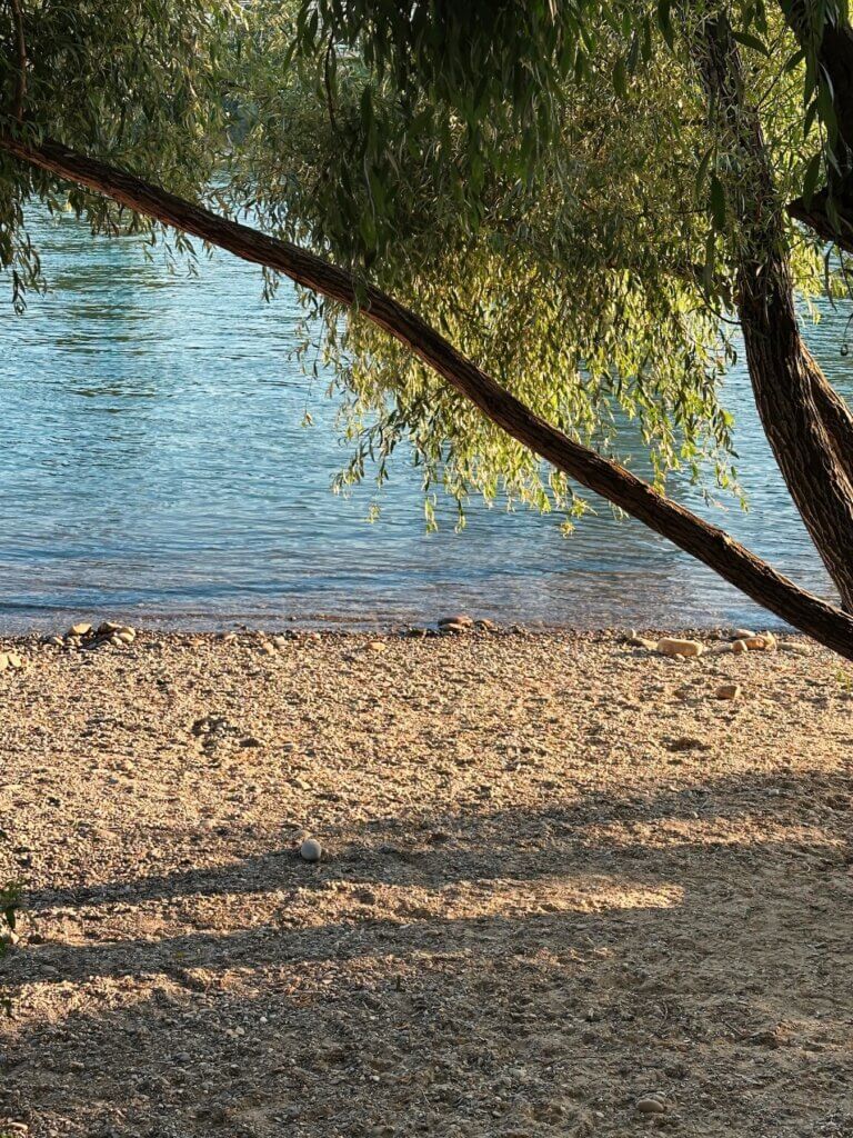 Matthias Maier | Riverbank