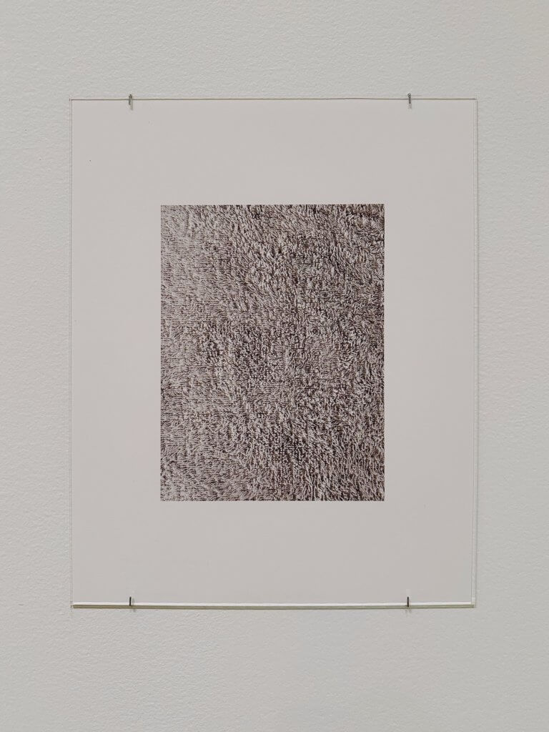 Matthias Maier | Zoe Leonard: Habitation is habit