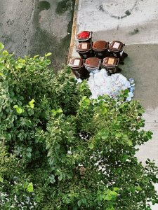 Matthias Maier | Garbage day