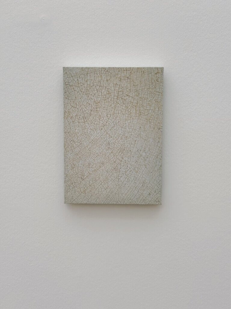 Matthias Maier | Plate by Vija Celmins