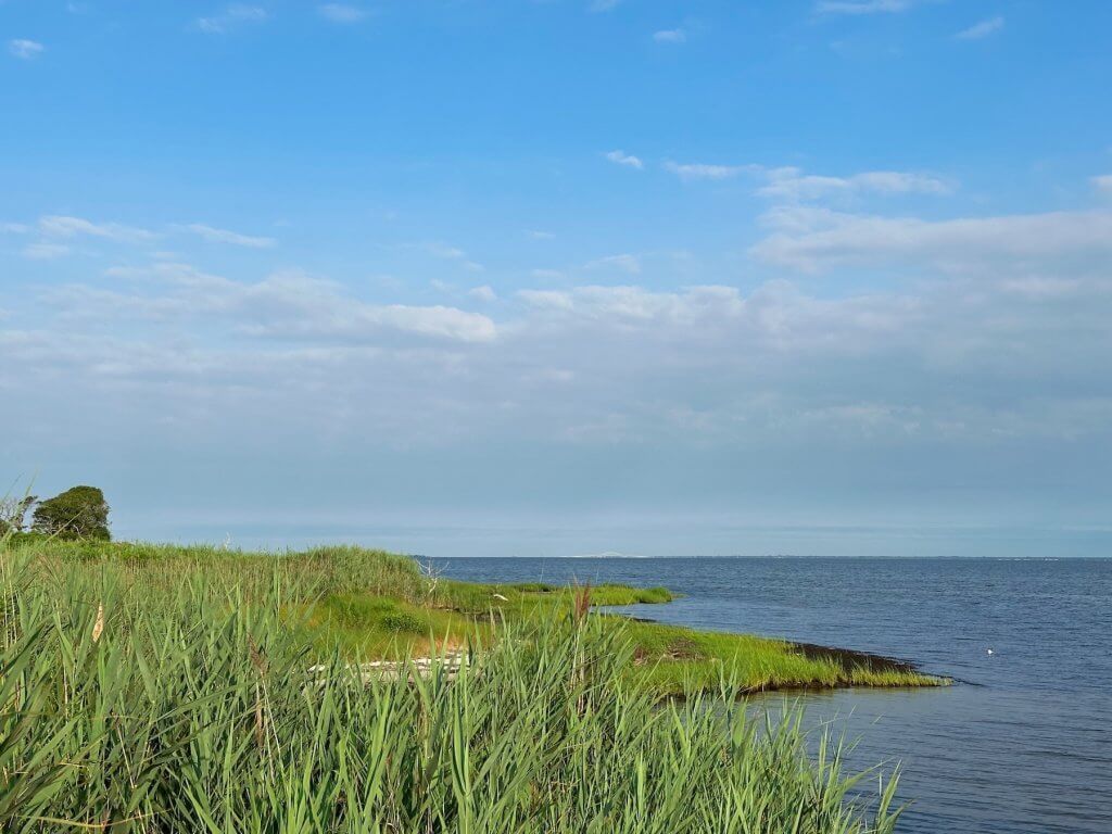 Matthias Maier | Bay view