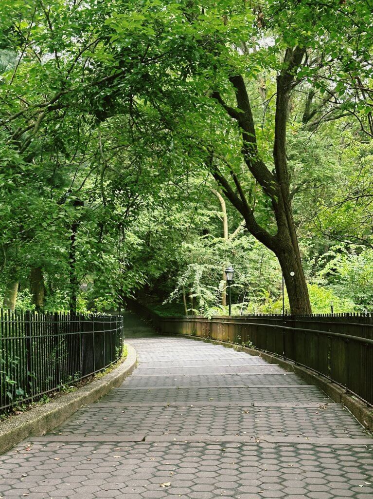 Matthias Maier | Entering Riverside Park