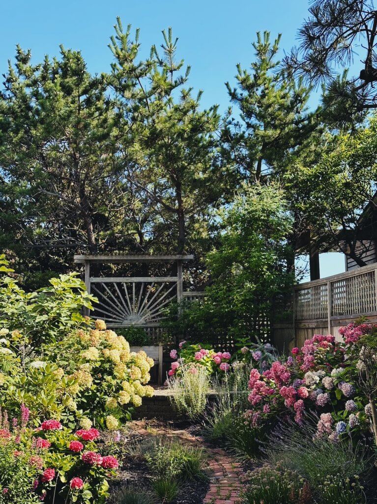Matthias Maier | Island garden