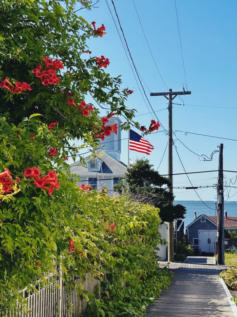 Matthias Maier | Cherry Grove