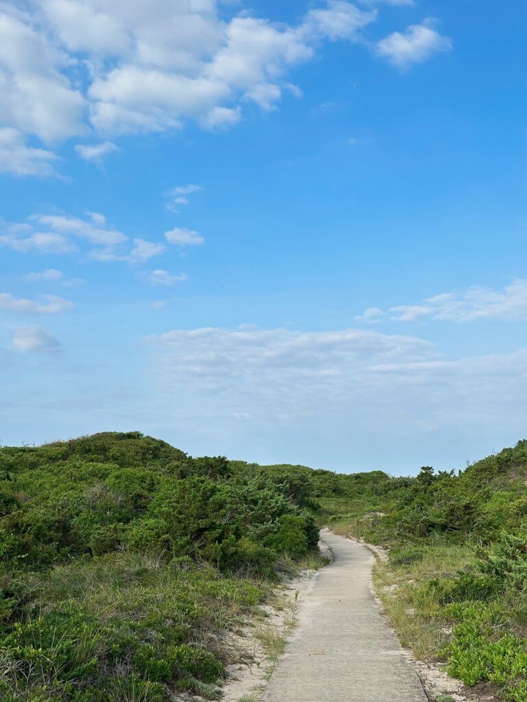 Matthias Maier | Running trail