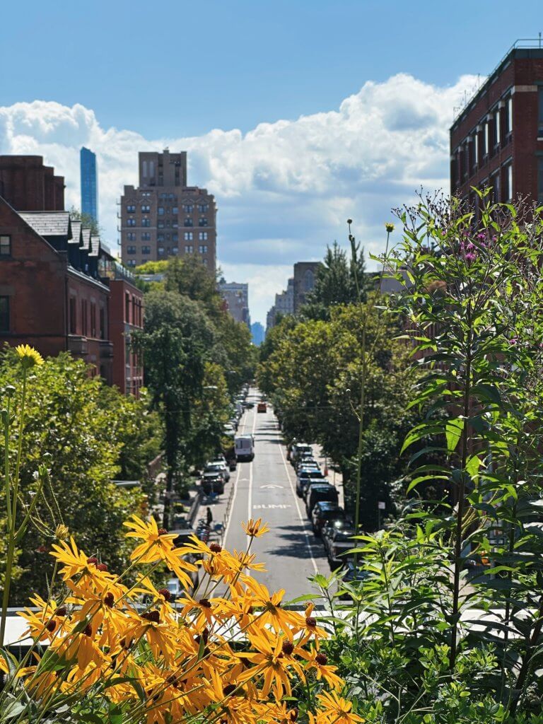 Matthias Maier | 20th Street