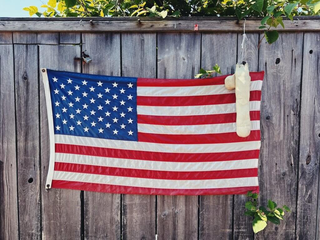 Matthias Maier | Flag and penis