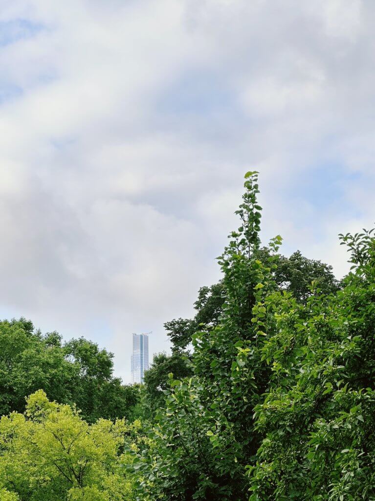 Matthias Maier | Tower behind the trees
