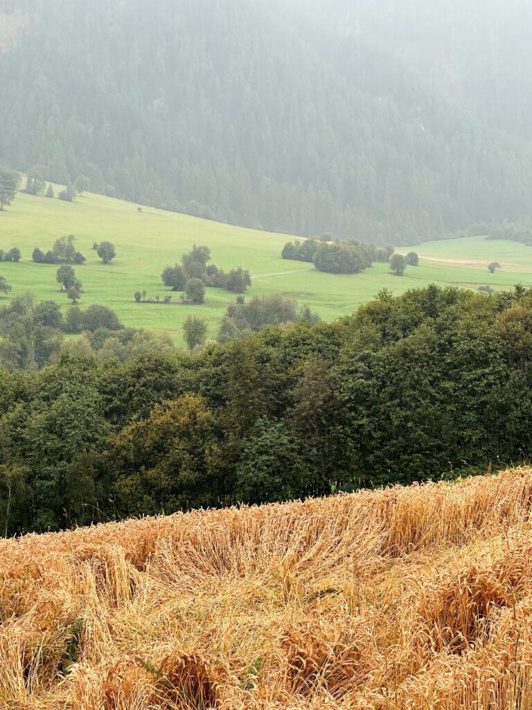 Matthias Maier | Late summer landscape