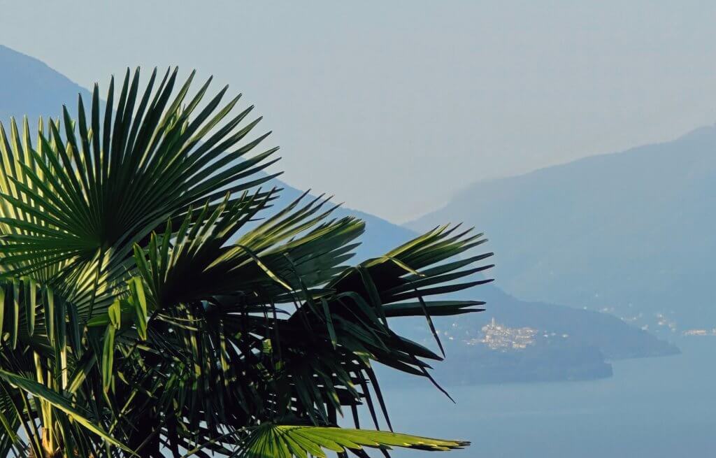 Matthias Maier | Stories | Week 33 2015 | View on Pino sulla Sponda de Lago Maggiore