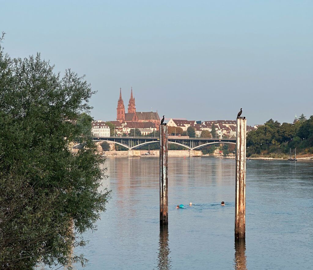 Matthias Maier | Stories | Week 33 2015 | Morning swimmers and cormorants