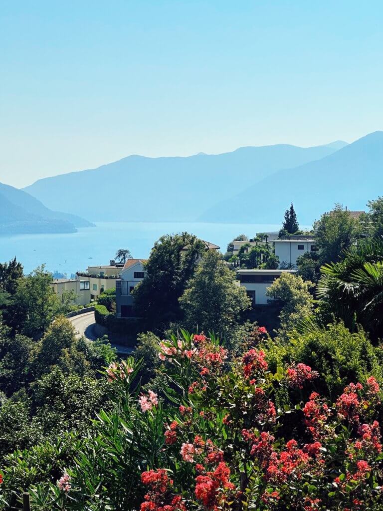 Matthias Maier | Mediterranean gardens