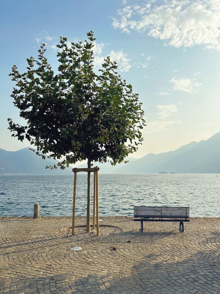 Matthias Maier | For a quiet moment