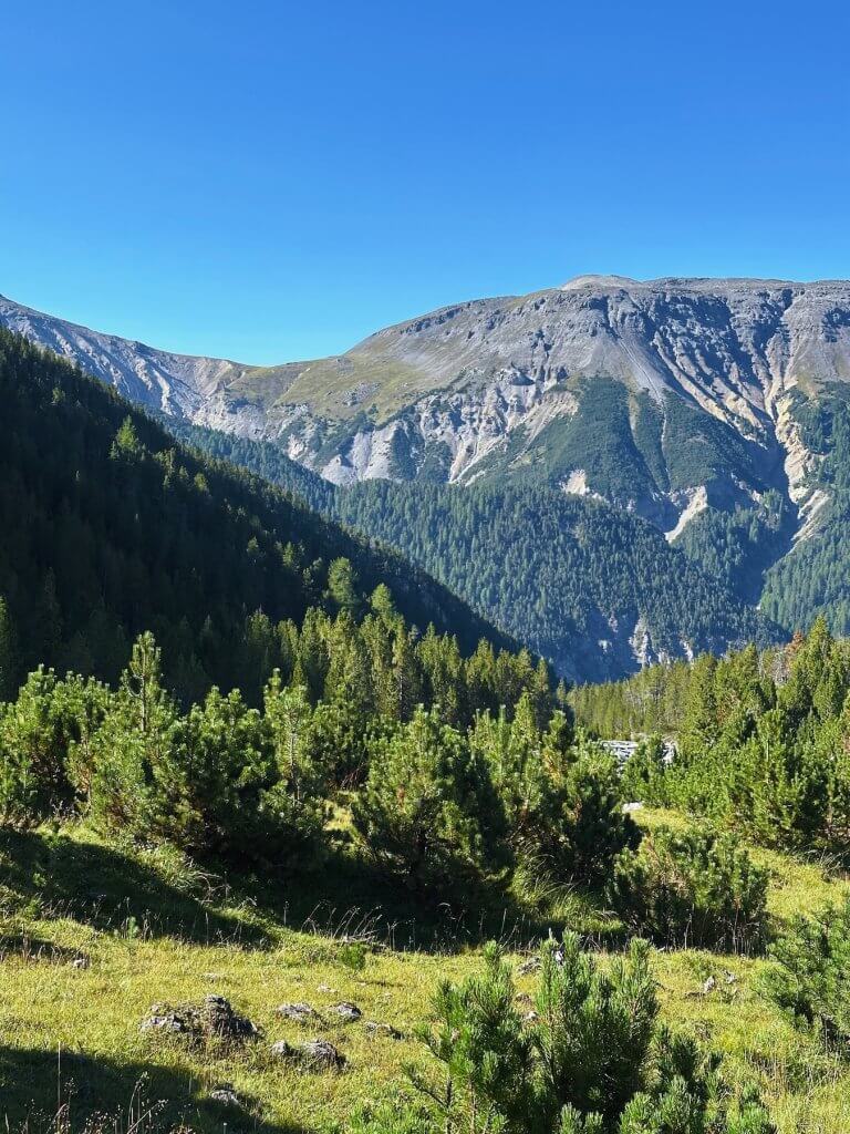 Matthias Maier | Val da Botsch