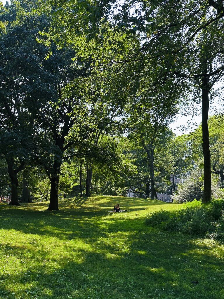 Matthias Maier | Sunday afternoon in Central Park