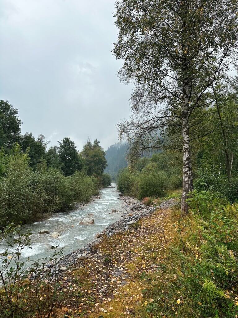 Matthias Maier | River landscape